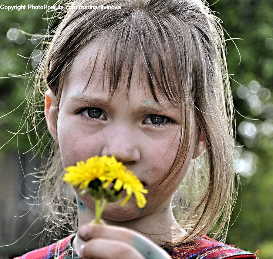 Human, People, Person, Flora, Pollen, Plant, Potted Plant