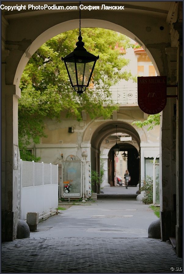 Plant, Potted Plant, Lamp Post, Pole, Patio, Boardwalk, Path