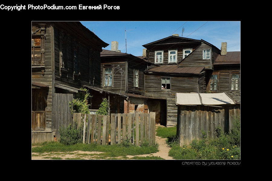Plant, Potted Plant, Cabin, Hut, Rural, Shack, Shelter