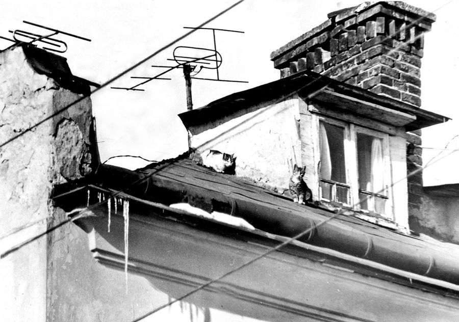 Alley, Alleyway, Road, Street, Town, Building, Downtown