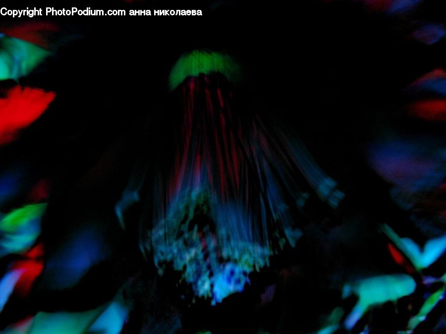 Club, Festival, Fractal, Aurora, Light, Night, Outdoors