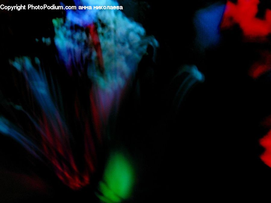 Club, Festival, Invertebrate, Jellyfish, Sea Life, Fractal