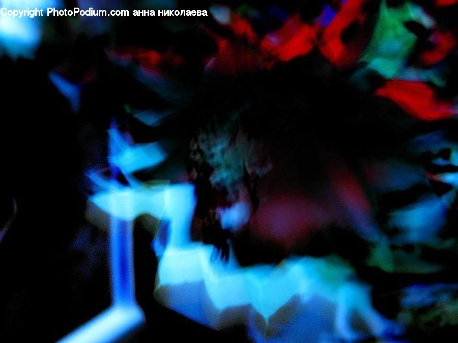 Club, Festival, Art, Night Club, Night Life, Modern Art, Lighting