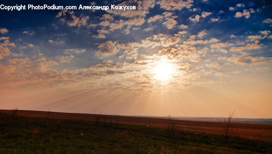 Azure Sky, Cloud, Outdoors, Sky, Field, Grass, Grassland