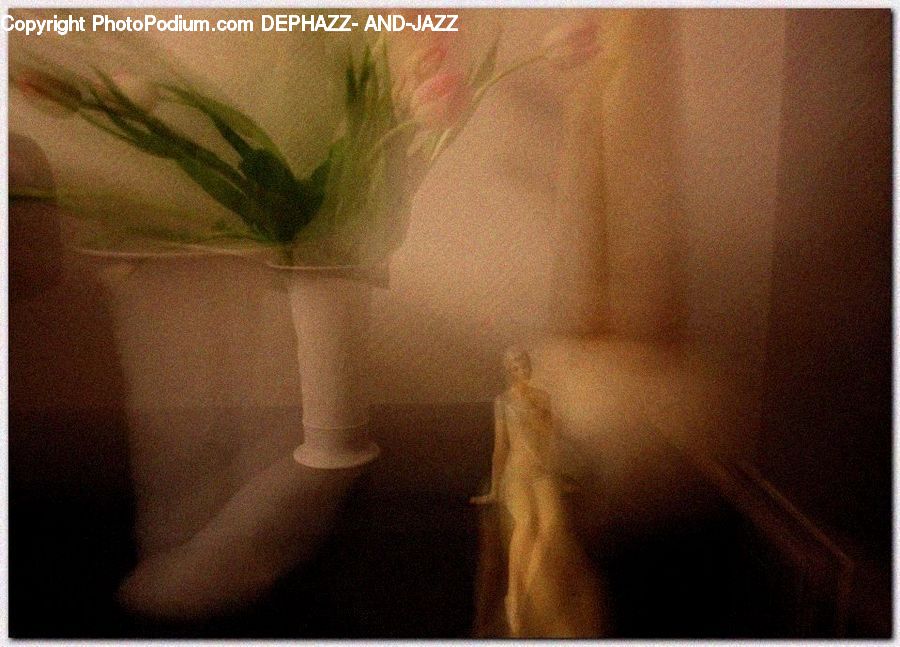 People, Person, Human, Pot, Pottery, Flower Arrangement, Ikebana