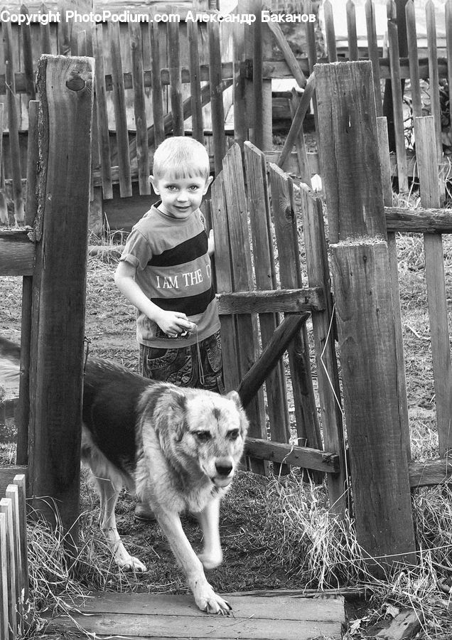 People, Person, Human, Dog House, Kennel, Animal, Chair