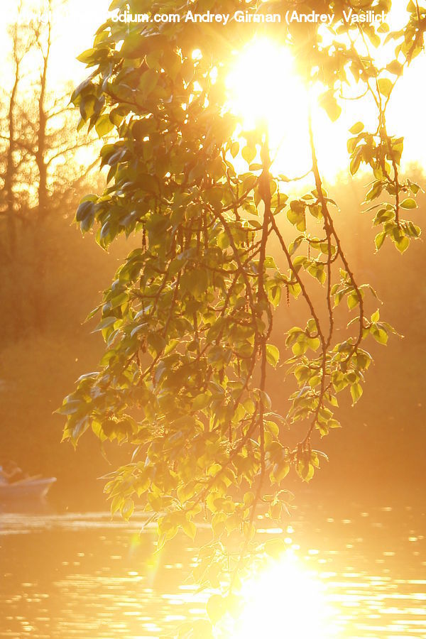 Flare, Light, Sunlight, Fire, Flame, Landscape, Nature