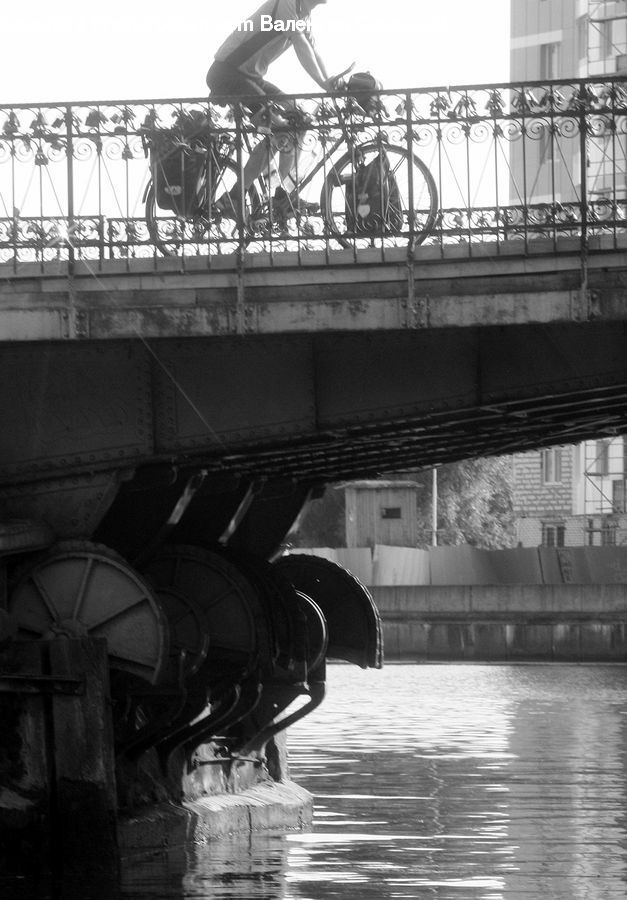 Bridge, Freeway, Overpass, Bicycle, Bike, Vehicle, Coaster