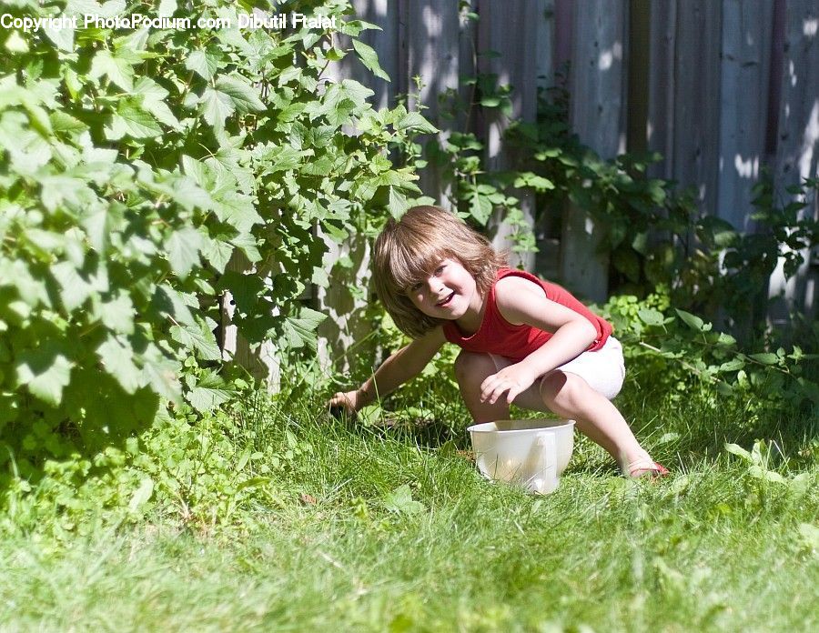 Plant, Potted Plant, People, Person, Human, Backyard, Yard