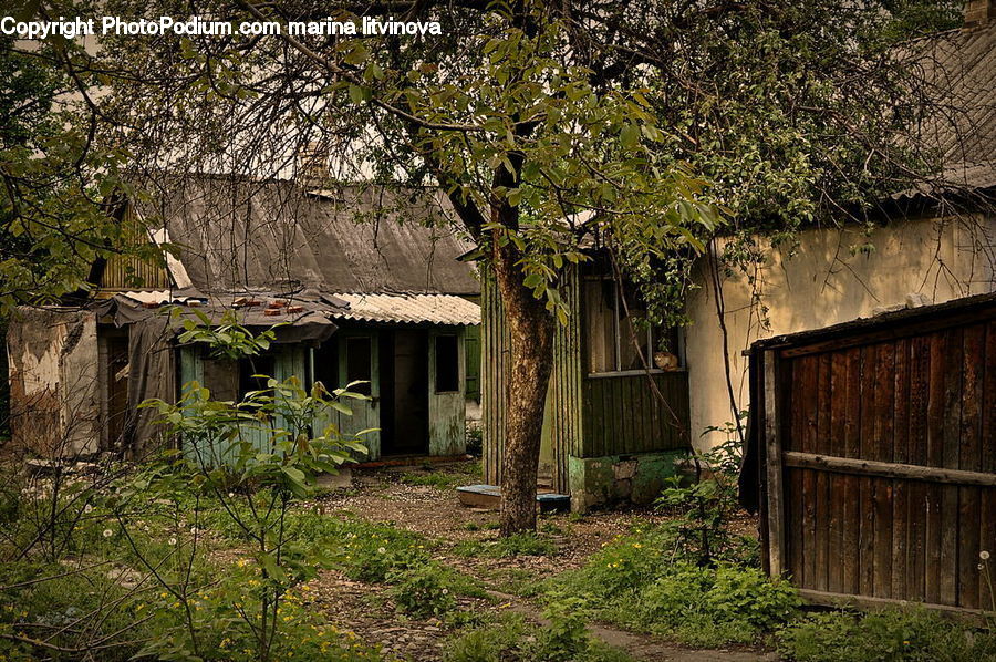 Plant, Potted Plant, Building, Cottage, Housing, Cabin, Hut