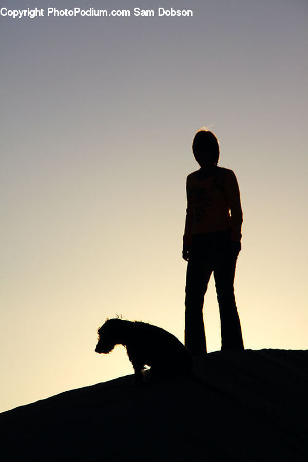 People, Person, Human, Silhouette, Leisure Activities