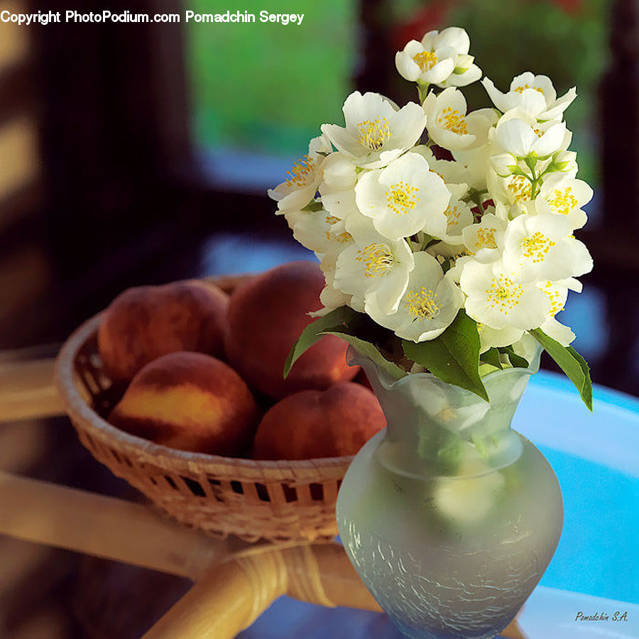 Citrus Fruit, Fruit, Orange, Floral Design, Flower, Flower Arrangement, Flower Bouquet