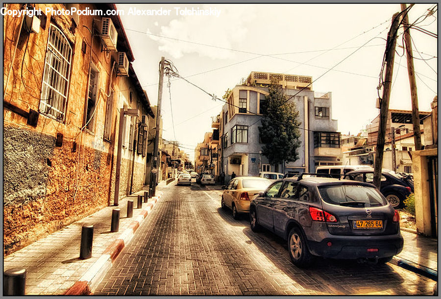 Plant, Potted Plant, Automobile, Car, Vehicle, Suv, Alley