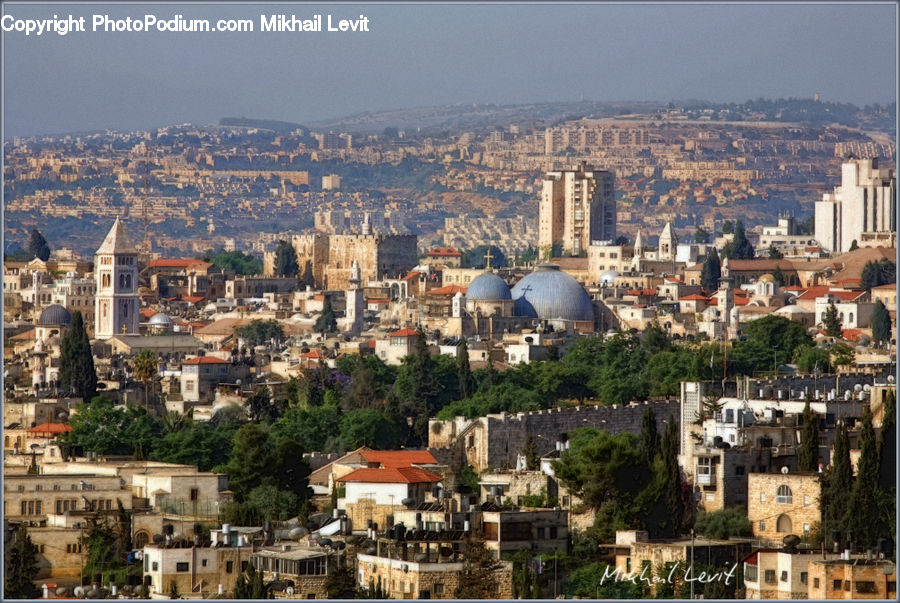 Architecture, Dome, City, Downtown, Metropolis, Urban, Mosque