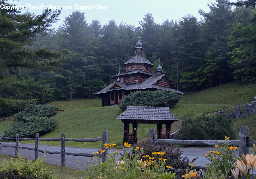 Gazebo, Architecture, Housing, Monastery, Plant, Potted Plant, Blossom