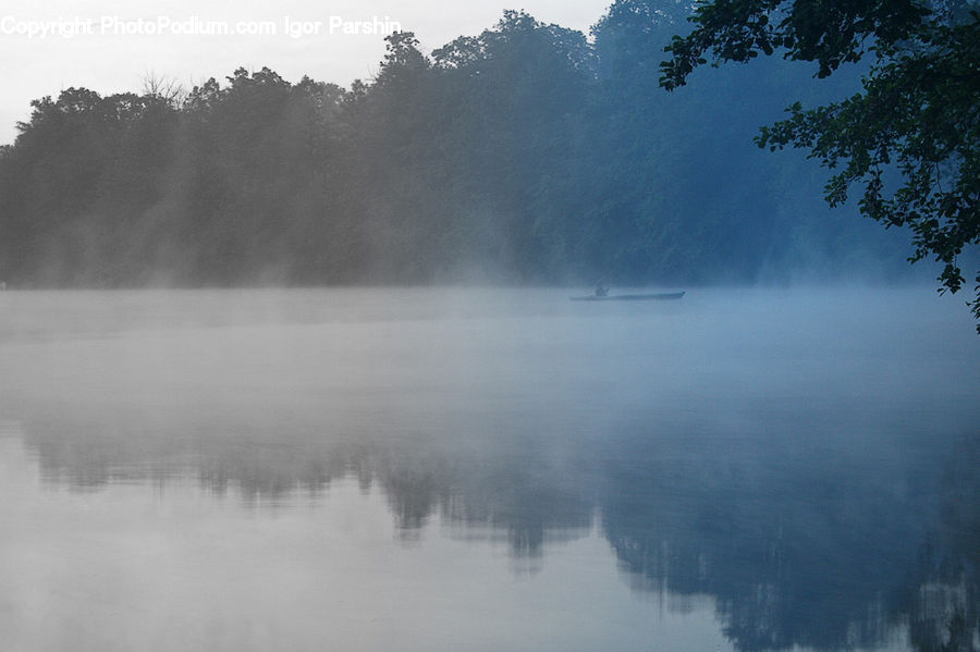 Fog, Mist, Outdoors, Forest, Vegetation