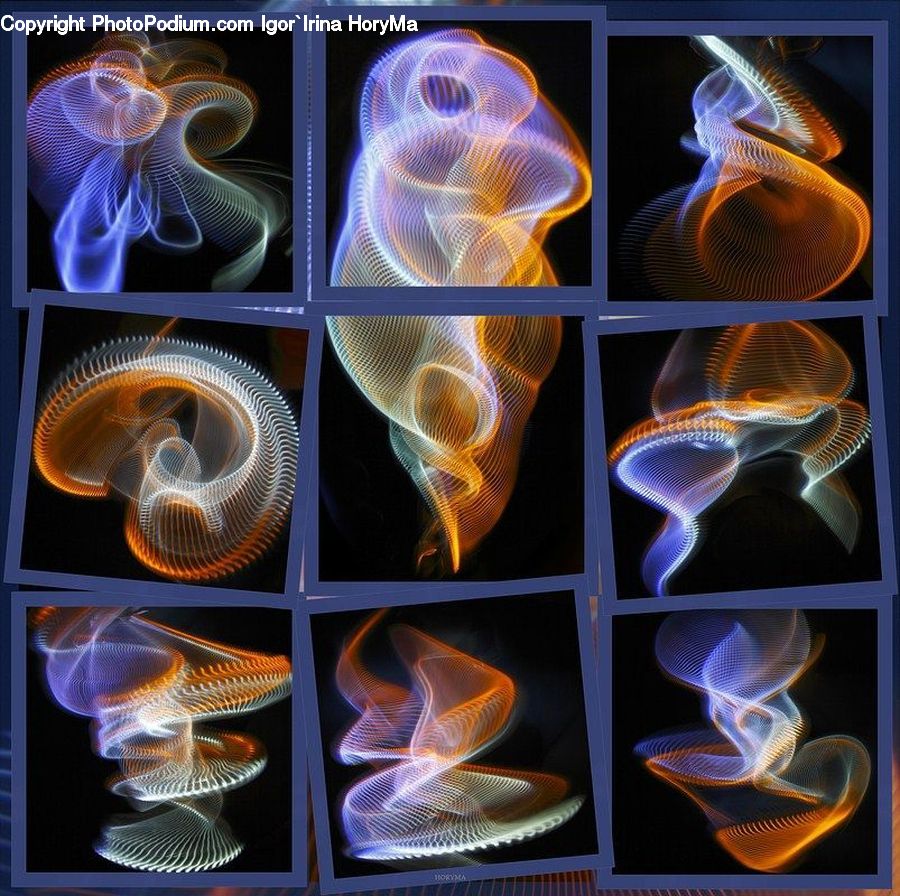 Collage, Poster, Invertebrate, Jellyfish, Sea Life, Fire, Flame