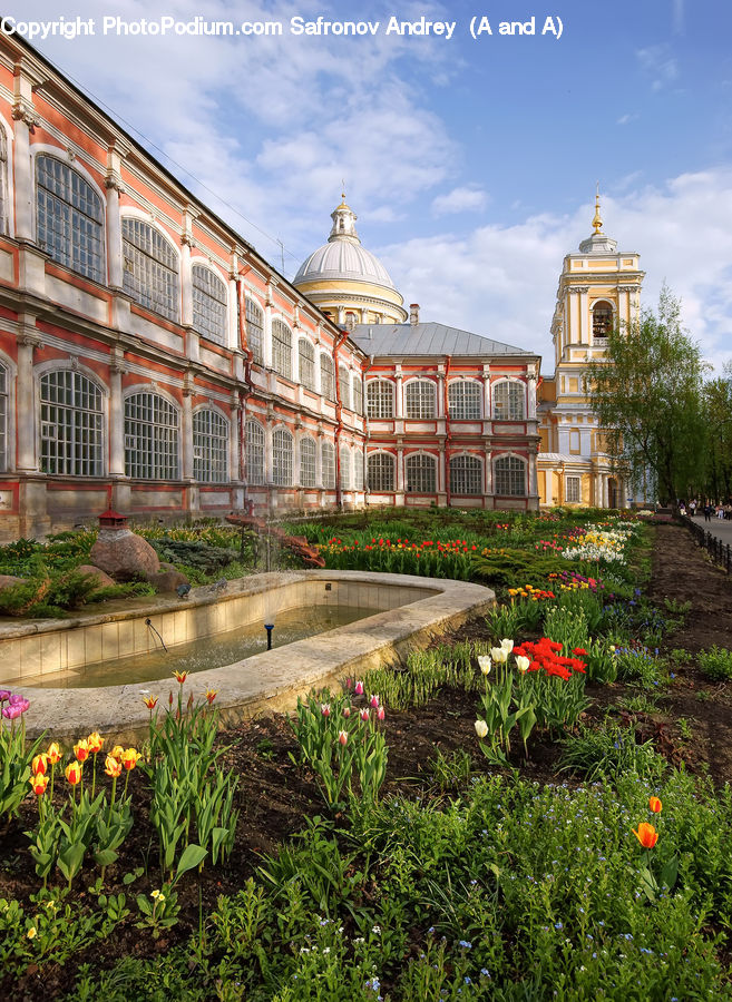 Blossom, Flora, Flower, Plant, Tulip, Architecture, Castle