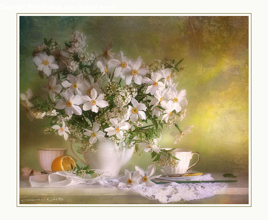 Flower Arrangement, Ikebana, Plant, Potted Plant, Vase, Flower, Flower Bouquet