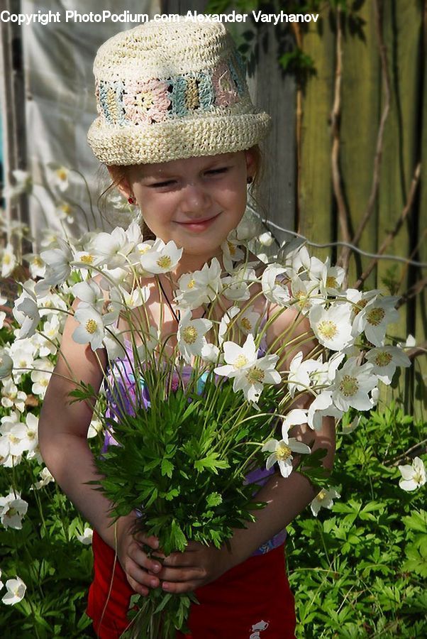 Cap, Hat, Sun Hat, Plant, Potted Plant, Flower, Flower Arrangement