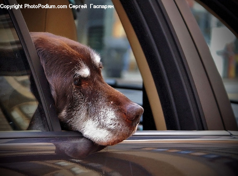 Car Mirror, Mirror, Automobile, Car, Vehicle, Column, Pillar