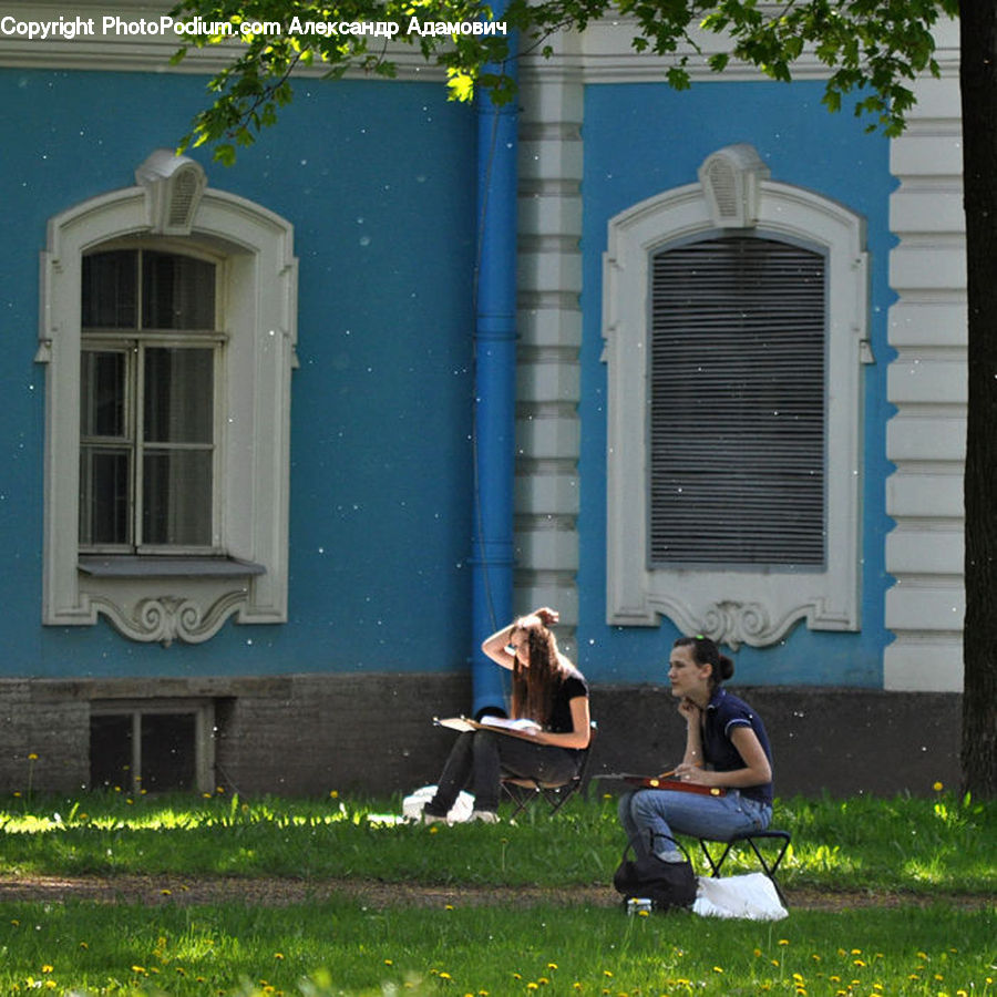 Plant, Potted Plant, People, Person, Human, Bench, Deck