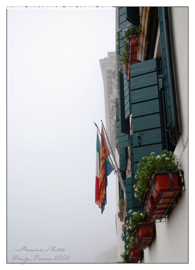 Plant, Potted Plant, Shutter, Window, Window Shade, Balcony, Brick