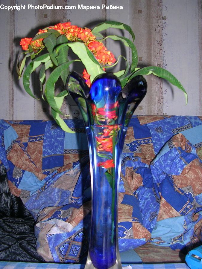 People, Person, Human, Home Decor, Quilt, Plant, Potted Plant