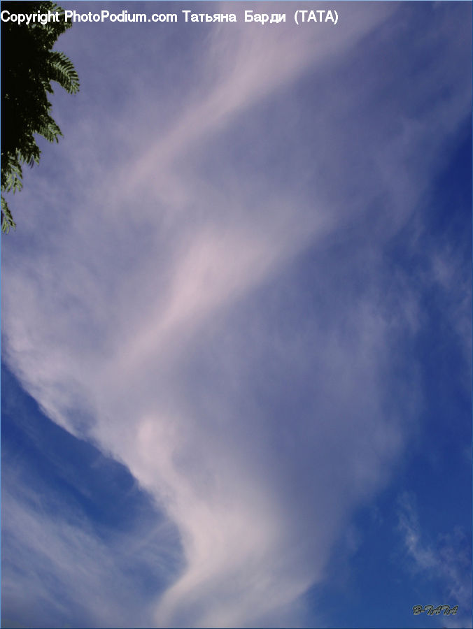 Azure Sky, Cloud, Outdoors, Sky, Palm Tree, Plant, Tree