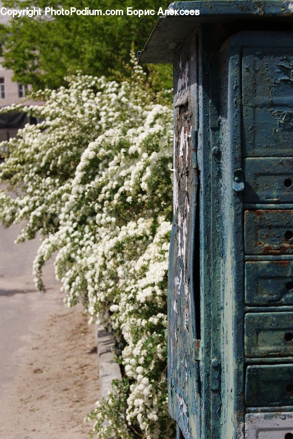 Outhouse, Shack, Hole