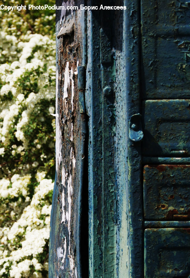 Outhouse, Shack, Birch, Tree, Wood