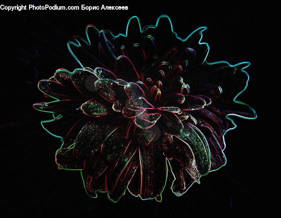 Light, Lighting, Accessories, Fractal, Blossom, Dahlia, Flora