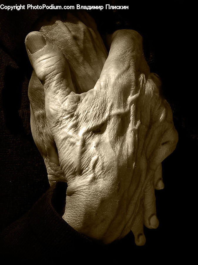 People, Person, Human, Art, Gargoyle, Statue, Bust