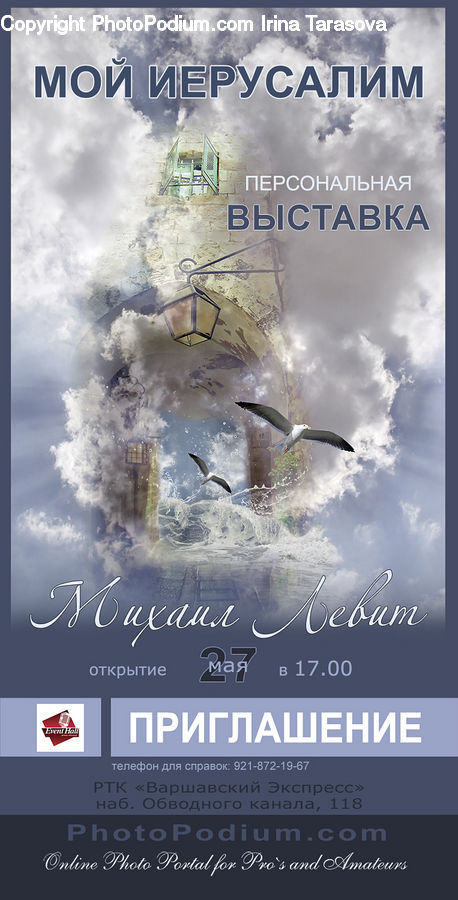 Brochure, Flyer, Poster, Bird, Kite Bird, Paper, Albatross