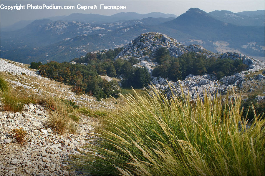 Crest, Mountain, Outdoors, Peak, Field, Grass, Grassland