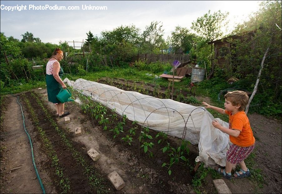 People, Person, Human, Bench, Plant, Potted Plant, Vine