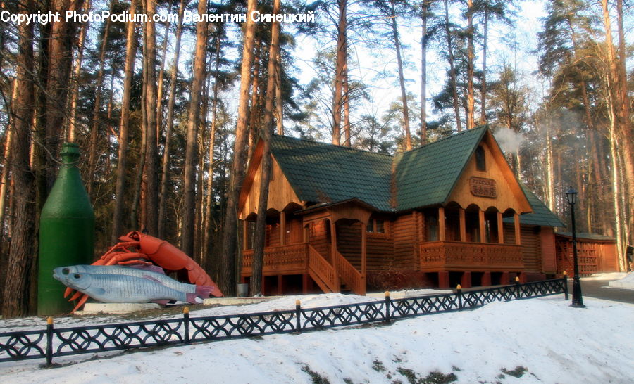 People, Person, Human, Building, Cottage, Housing, Cabin