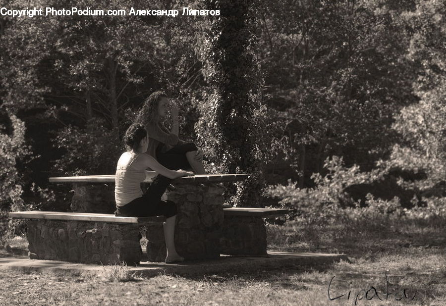 People, Person, Human, Bench, Guitar, Guitarist, Musical Instrument