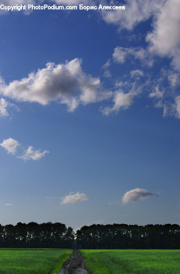 Azure Sky, Cloud, Outdoors, Sky, Field, Grass, Grassland
