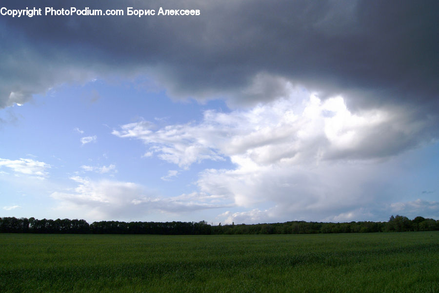 Cloud, Cumulus, Sky, Azure Sky, Outdoors, Field, Grass