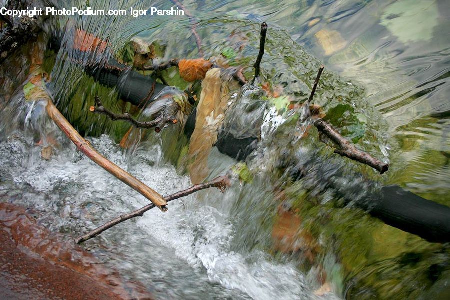 Cave, Water, Forest, Jungle, Rainforest, Vegetation, Algae