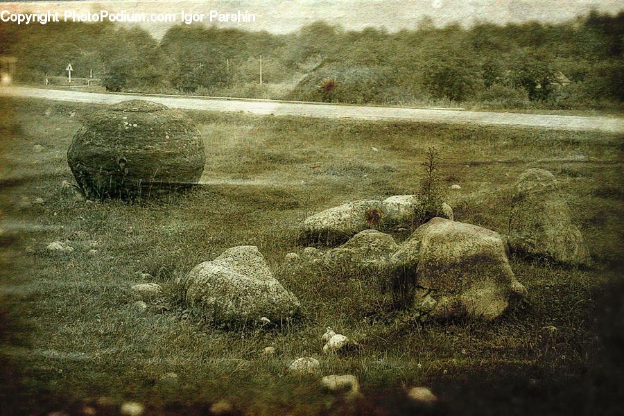 Grassland, Mound, Alcyonacea, Brain Coral, Coral Reef, Invertebrate, Reef