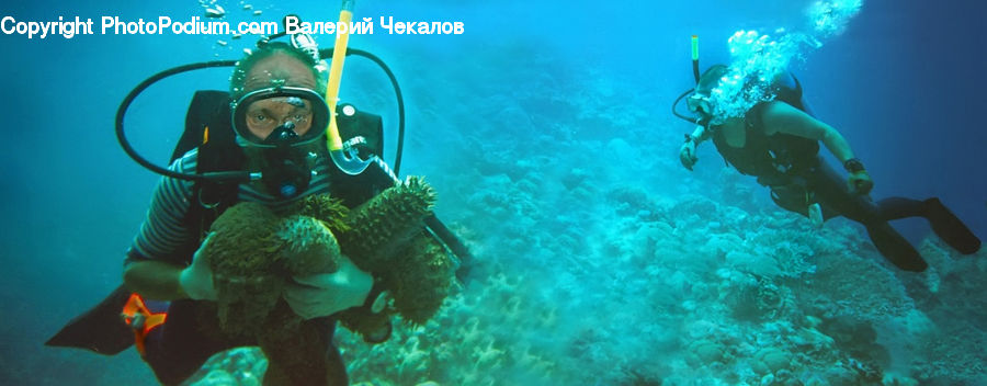 Diver, Diving, Sport, Water, Person, Coral Reef, Outdoors