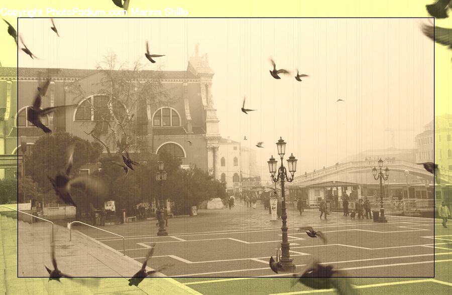 Fog, Pollution, Smog, Smoke, Intersection, Road, Collage