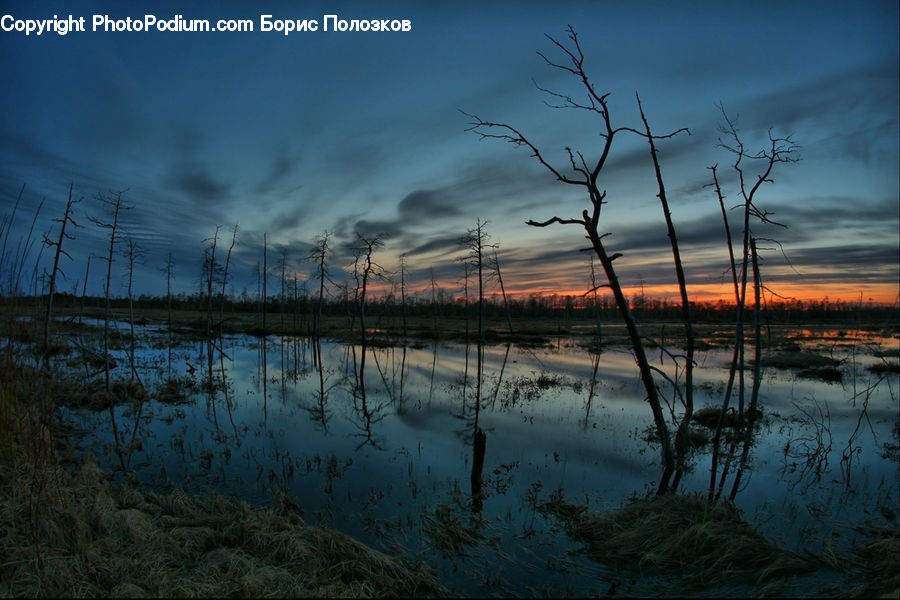 Dawn, Dusk, Red Sky, Sky, Sunrise, Sunset, Field