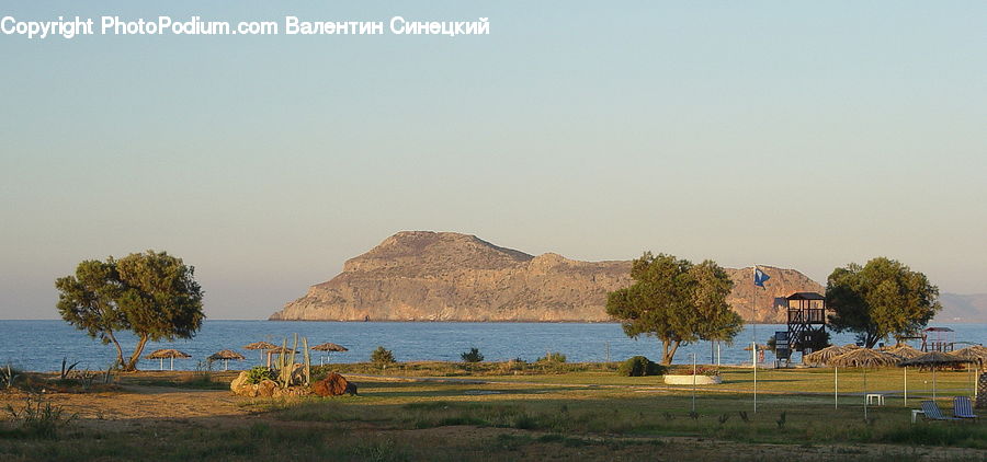 Grassland, Mound, Plant, Tree, Countryside, Outdoors, Savanna
