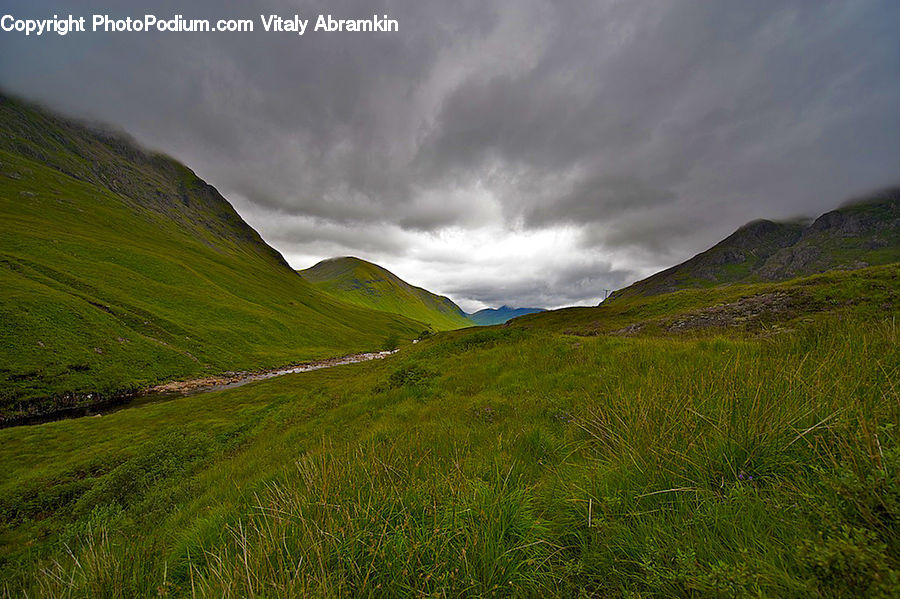Field, Grass, Grassland, Land, Outdoors, Plant, Landscape