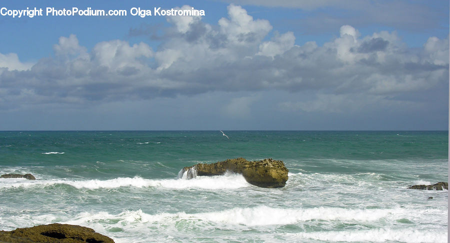 Beach, Coast, Outdoors, Sea, Water, Sea Waves, Ocean