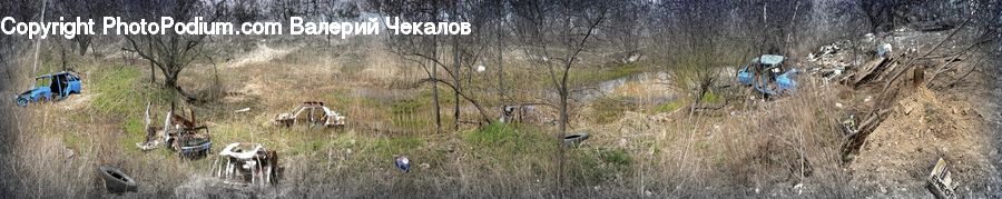 Car, Offroad, Jeep, Vehicle, Antelope, Mammal, Land