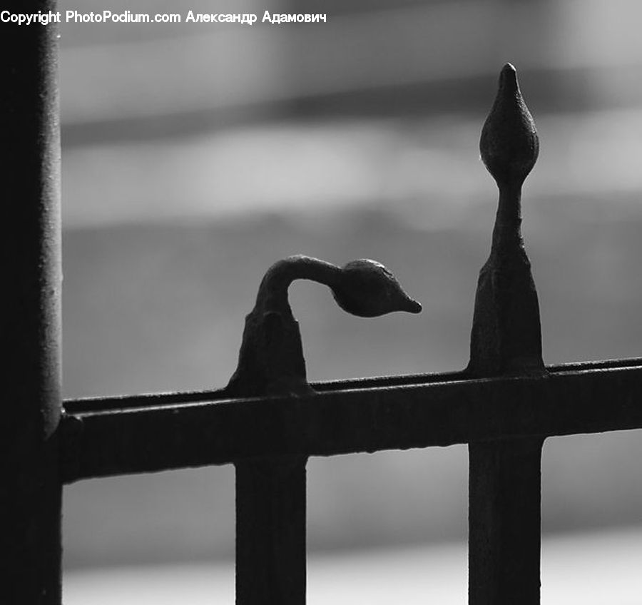 Railing, Bird, Cormorant, Waterfowl